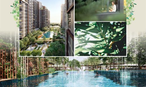 Giá Trị Elysian: Sự Kết Hợp Giữa Sang Trọng Và Thiên Nhiên