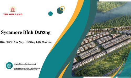 Tại Sao Sycamore Là Sự Lựa Chọn Hàng Đầu Cho Các Doanh Nghiệp?