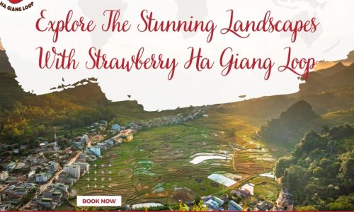 Explore The Stunning Landscapes With Strawberry Ha Giang Loop