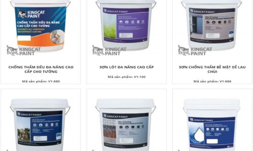 Chống thấm trần nhà hiệu quả mang lại sự yên tâm cho ngôi nhà cùng Kingcatpaint